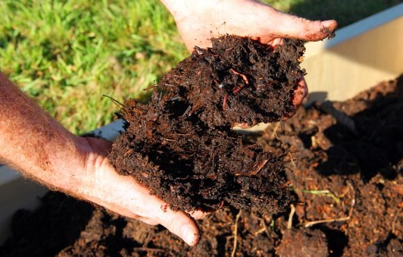 170911-organic-farming-soil